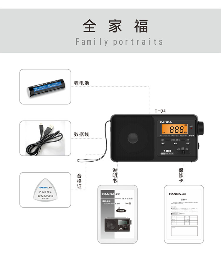 熊猫（PANDA) T-04 插卡收音机 灰色