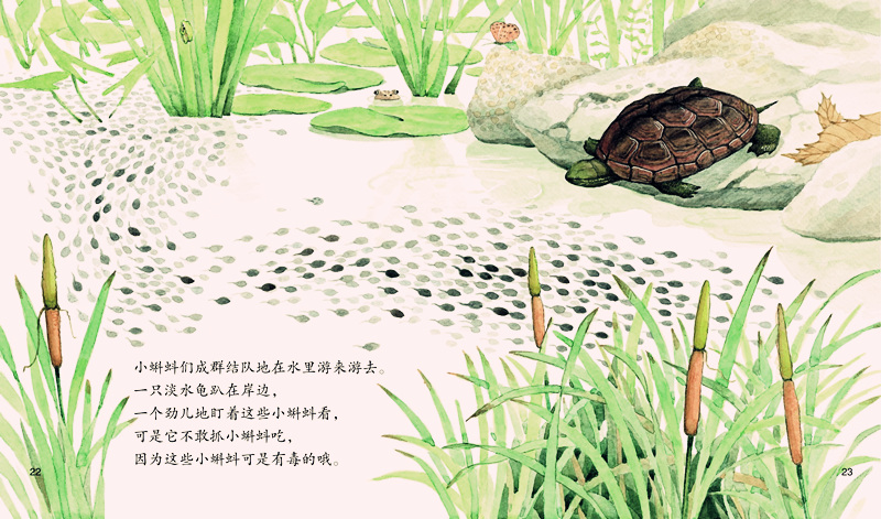 蒲公英科学绘本系列5:要不要跟我一起走?