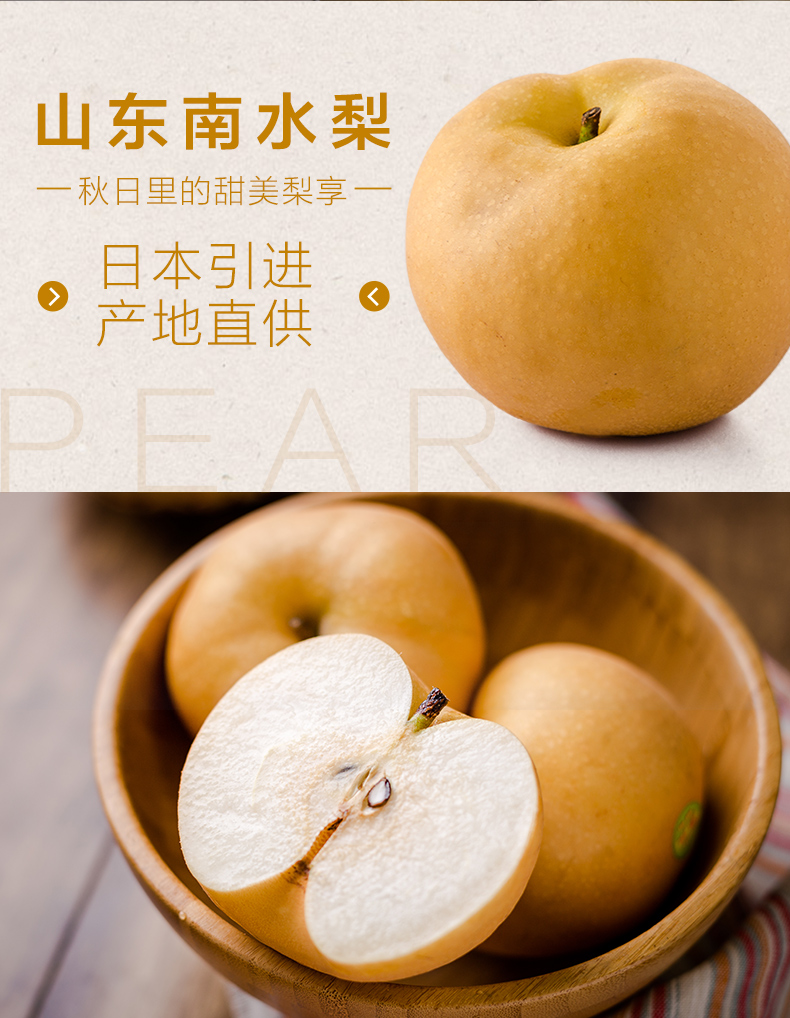 [苏鲜生]山东南水梨4个380g以上/个