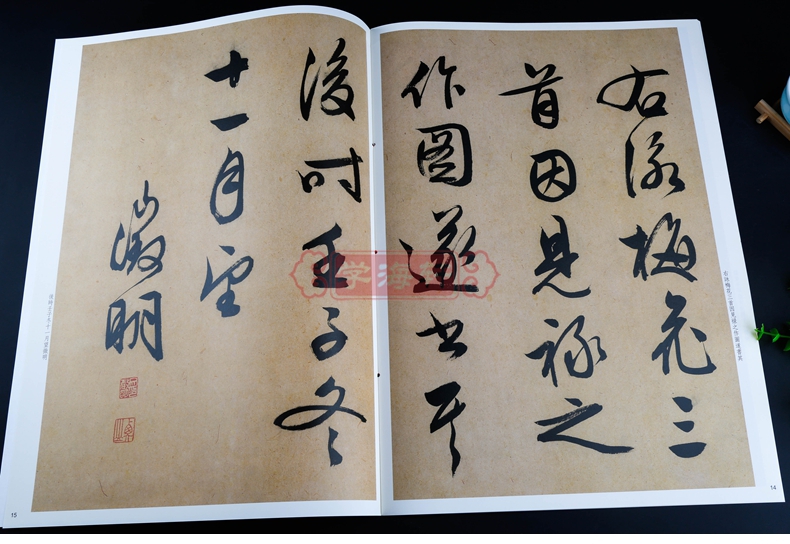 学海轩 文徵明书梅花诗 彩色放大本中国碑帖 繁体旁注 孙宝文编 文征