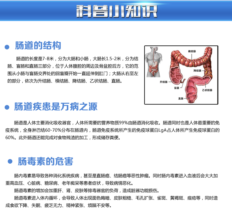 士 洁肠水疗仪 卫洗丽智能马桶盖 通便 一分钟冲