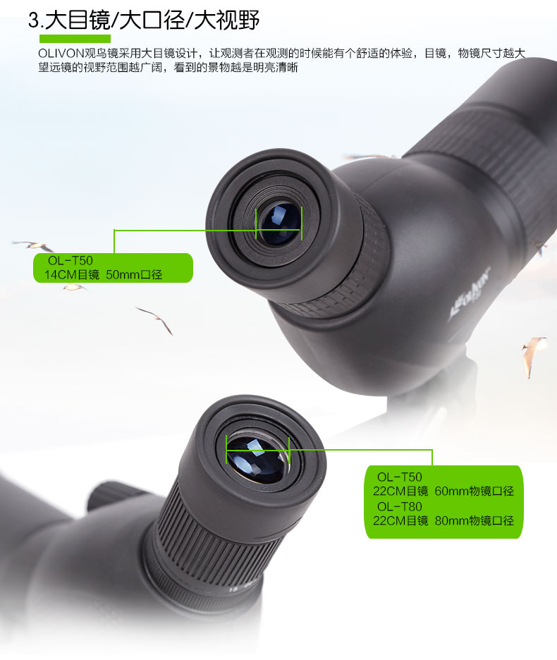 正品买送手机支架加拿大Olivon高倍观鸟镜20-