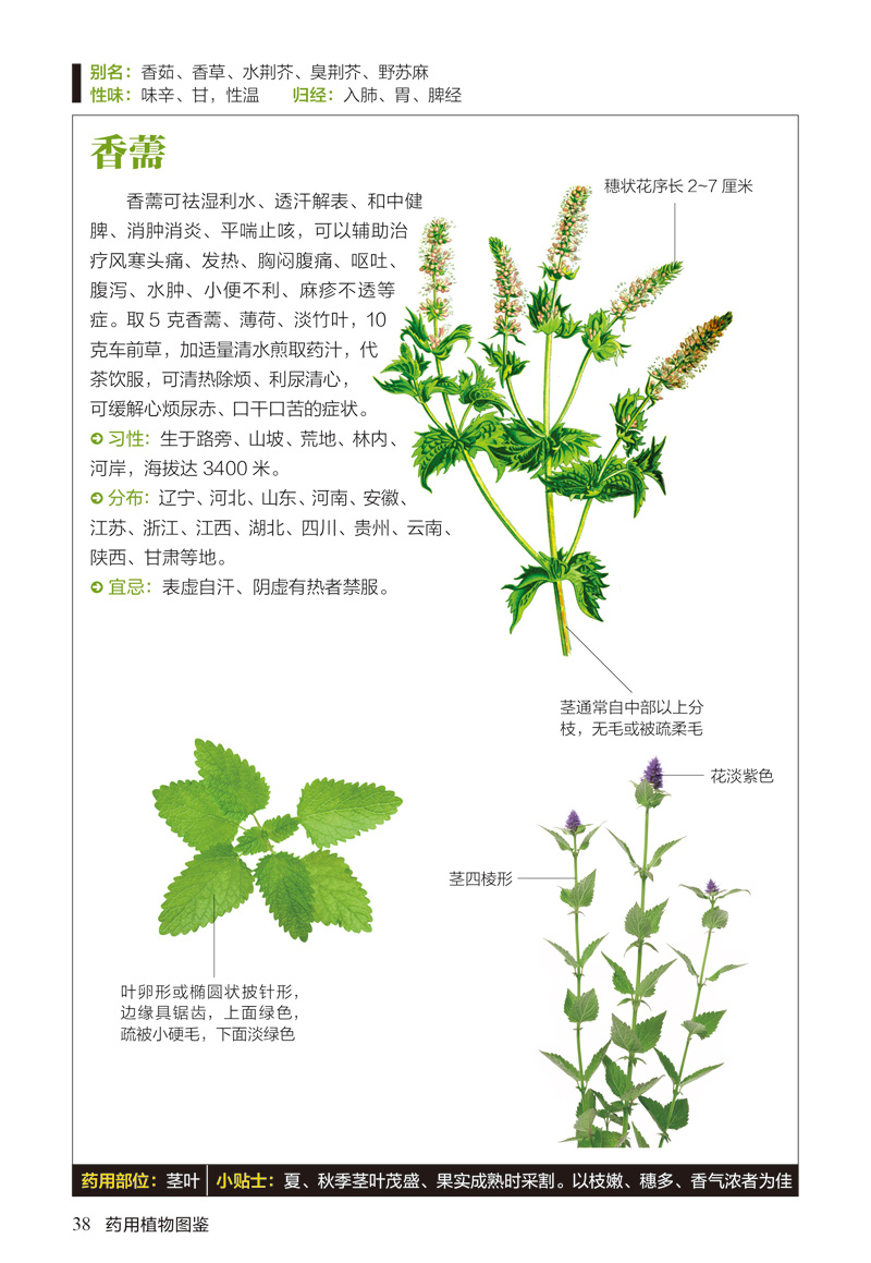 药用植物图鉴 :285种药用植物的特征与使用