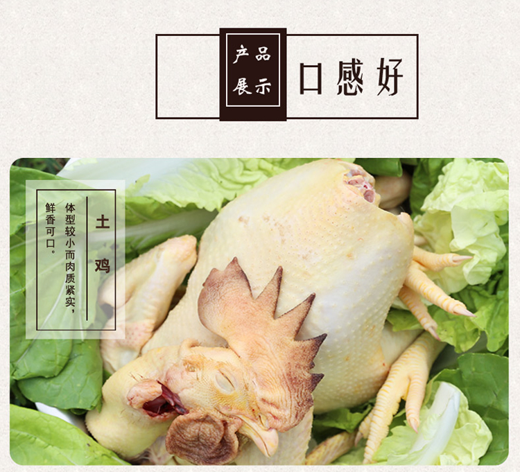 都山荡禽肉 杨巷三品 都山荡雪山草鸡 农家草鸡母鸡新鲜【价格 图片