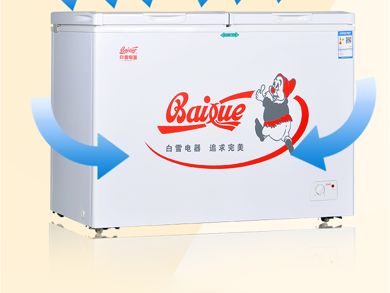 白雪(Baixue) BDX-280DS 280升 冰柜 双温卧式冷柜 冷藏冷冻双间室冷柜