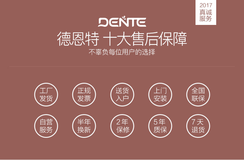 德恩特(Dente)即热式热水器 DTR/E308 8500W 钢化玻璃面板 负离子净化智能恒温机
