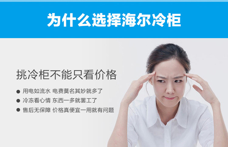 【海尔官方授权电器专卖店】海尔冷柜 BC\/BD