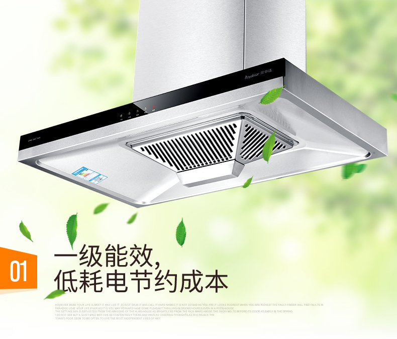 荣事达(royalstar)欧式t型油烟机cxw-250-t605 触控式