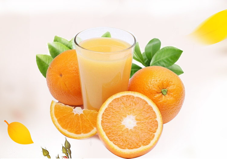 澳洲脐橙8个 进口橙子澳橙澳大利亚橙 进口水