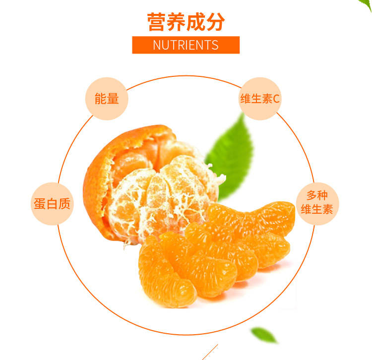 湘西泸溪椪柑芦柑1斤装 湘西馆(xiang xi guan)