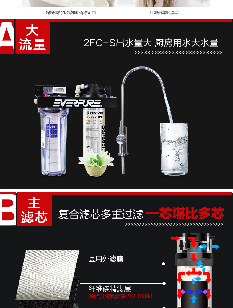 爱惠浦（EVERPURE）2FC-S一体式净水器