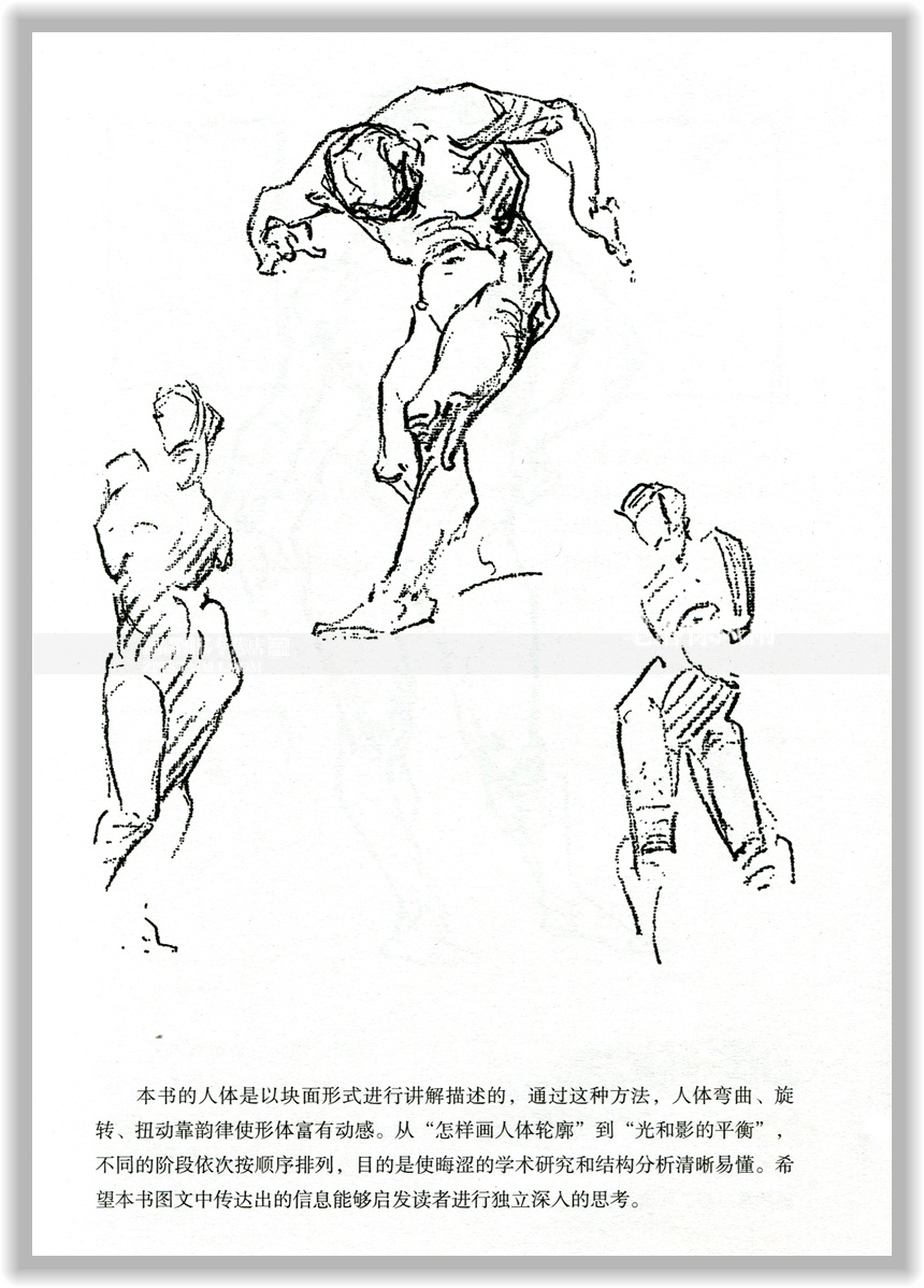 智品 伯里曼人体结构教学 理解人体形态人物绘画素描大师速写临摹基础