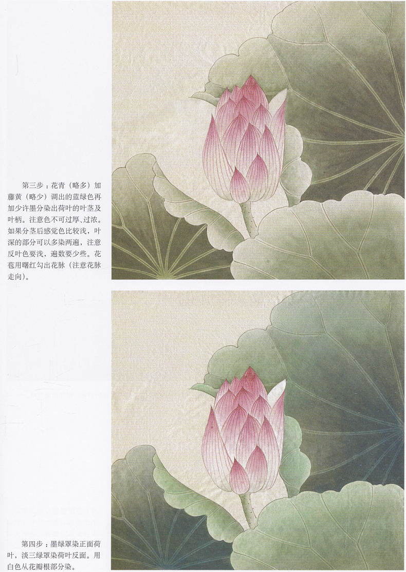 全6本 初学者之友工笔画绘画教程书一套好书全掌握工笔技法工笔牡丹