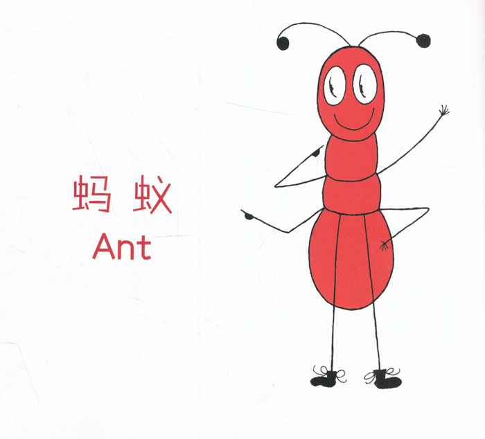 蚂蚁和蜜蜂?儿童彩色单词故事书系列 字母abc