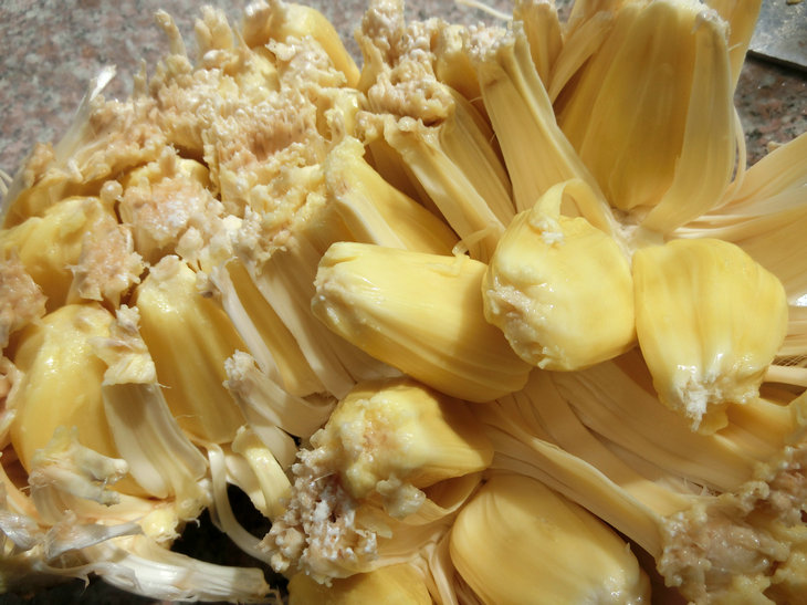 农聚源 湿包菠萝蜜1个 约8斤 糖菠萝蜜 木菠萝 新鲜水果 产发qq