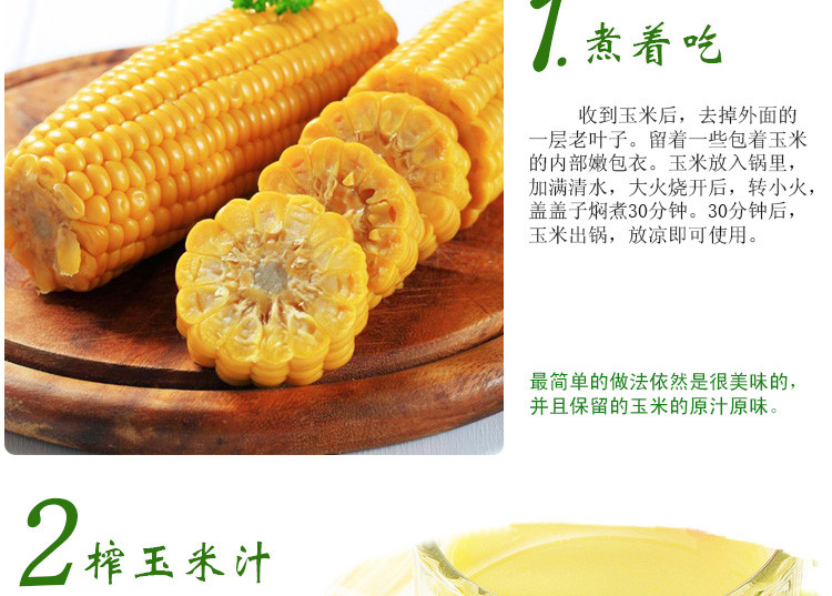 今日玉米豆粕最新报价剖析：全国各省市价格比照