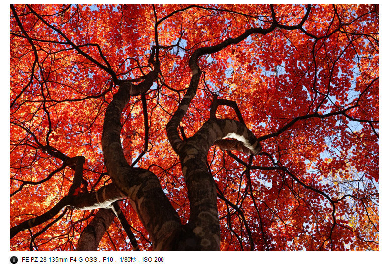 【索尼官方旗舰店】Sony\/索尼 FE PZ 28-135m