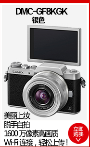 松下(Panasonic) H-FS14140GK (14-140mm F3.5-5.6）二代镜头