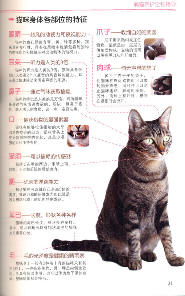《萌猫养护全程指导》(日)与猫咪的每一天编辑部 编