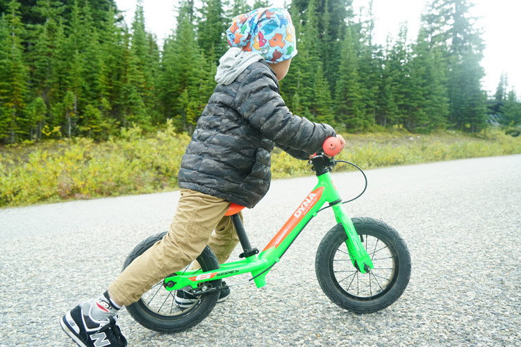 迪纳儿童平衡车滑行车学步车2岁3岁4岁5岁男