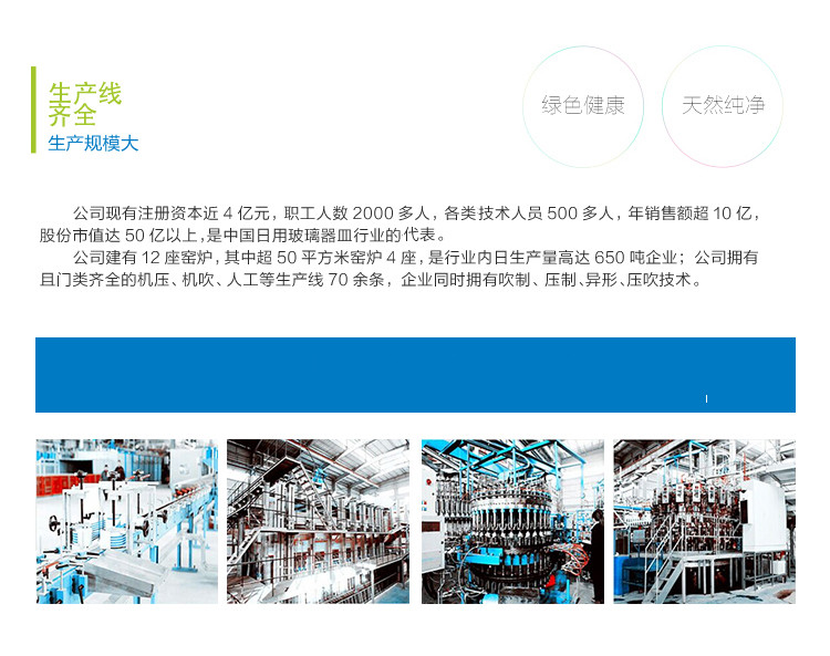 【苏宁专供】青苹果 冷水壶果汁壶EH1002-1 EH1002-1