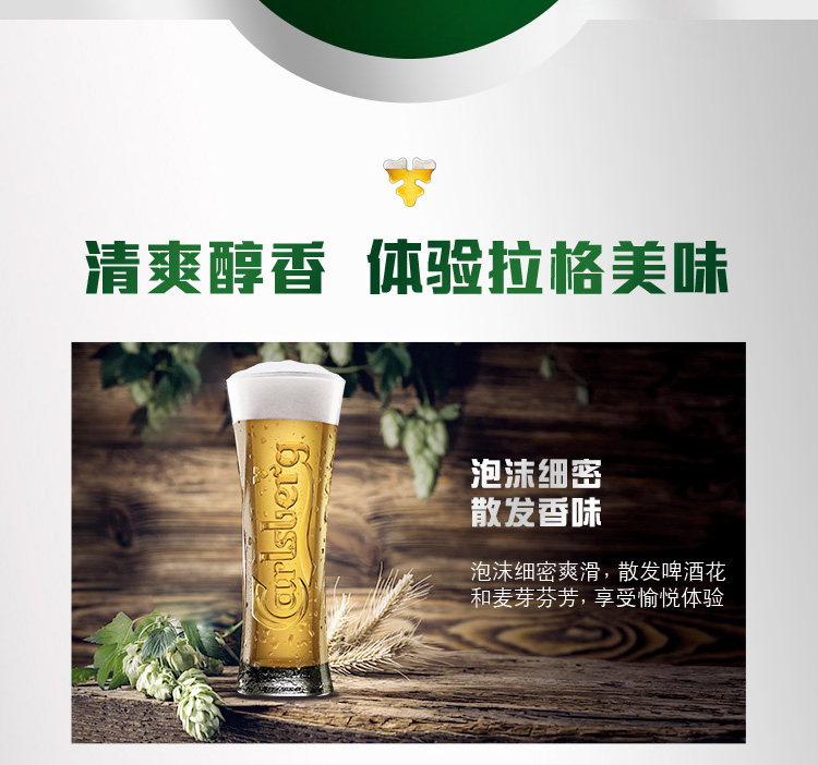 嘉士伯carlsberg啤酒特醇啤酒500ml18听整箱装