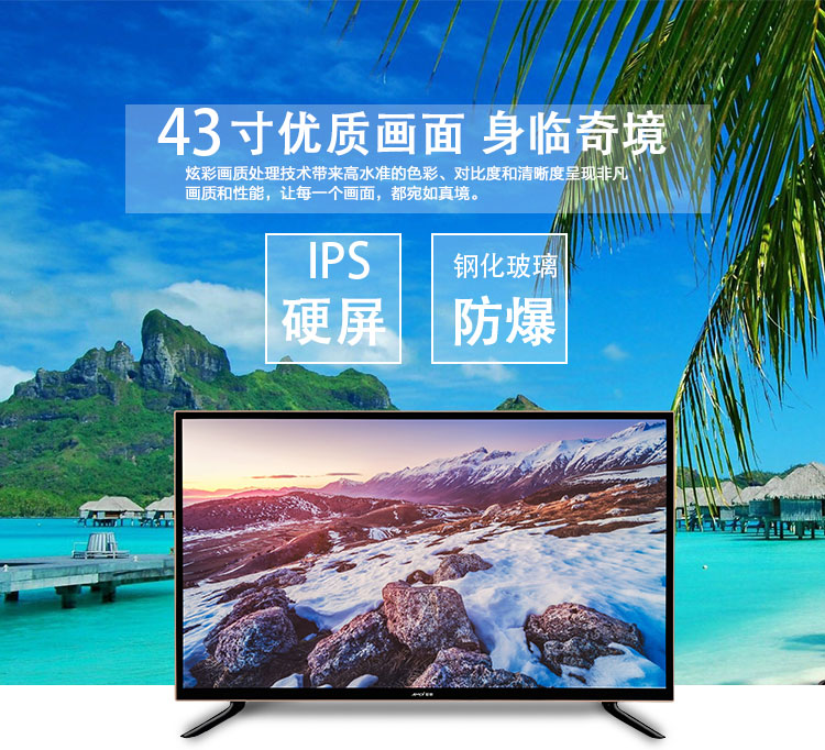 Amoi夏新43寸防爆电视43D 超清LED液晶平板