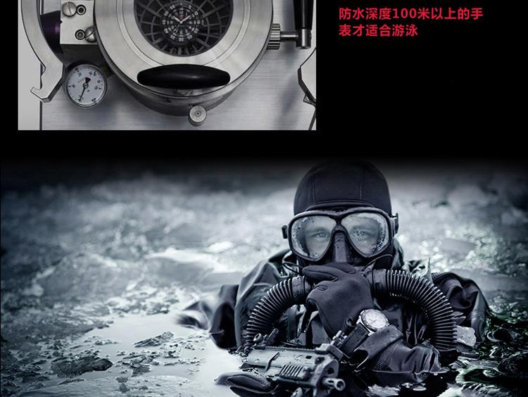 雷美诺时（Luminox）手表 瑞士军表海系列防水自发夜光运动男表A.3081 A.3081
