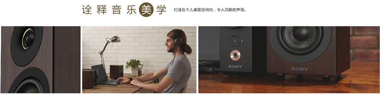 索尼（SONY）CAS-1高保真音响组件桌面微HIFI系统DSD音箱国行usb蓝牙 木纹色