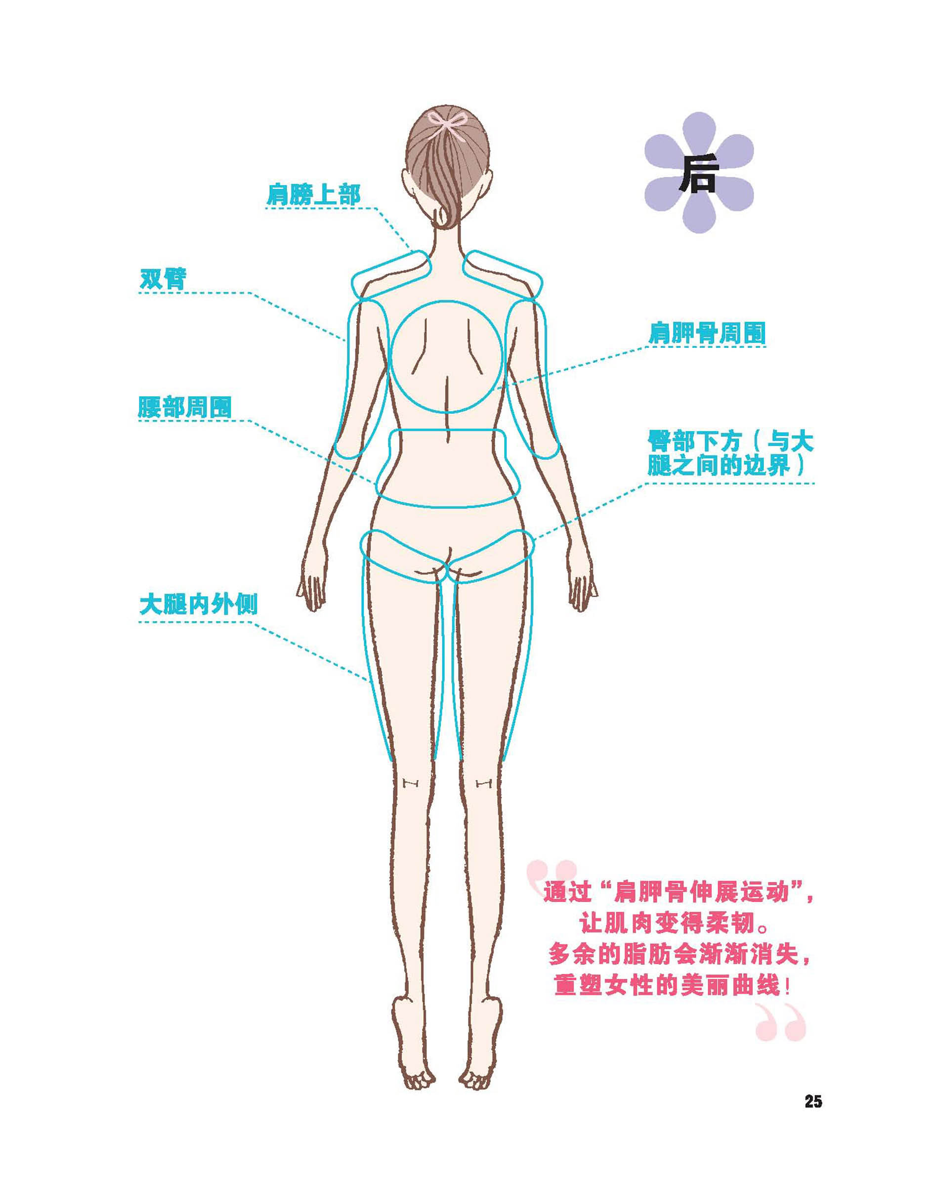 动动肩胛骨也能瘦