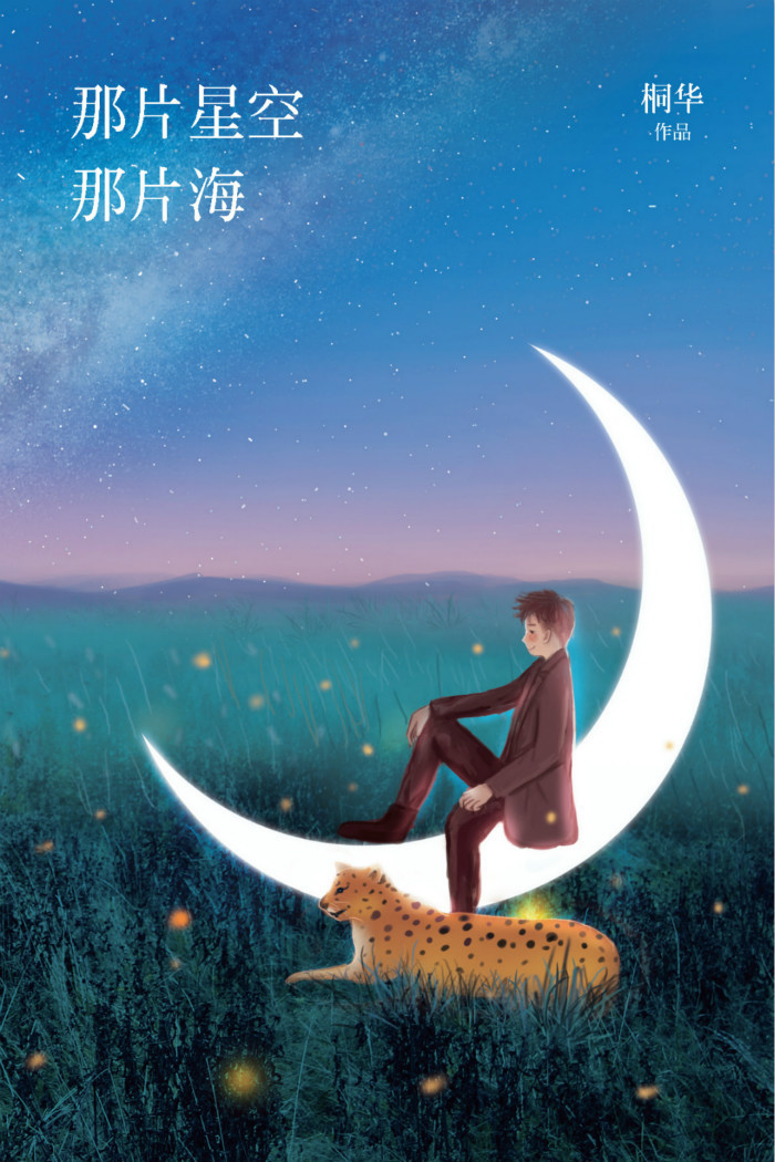 《那片星空,那片海》桐华