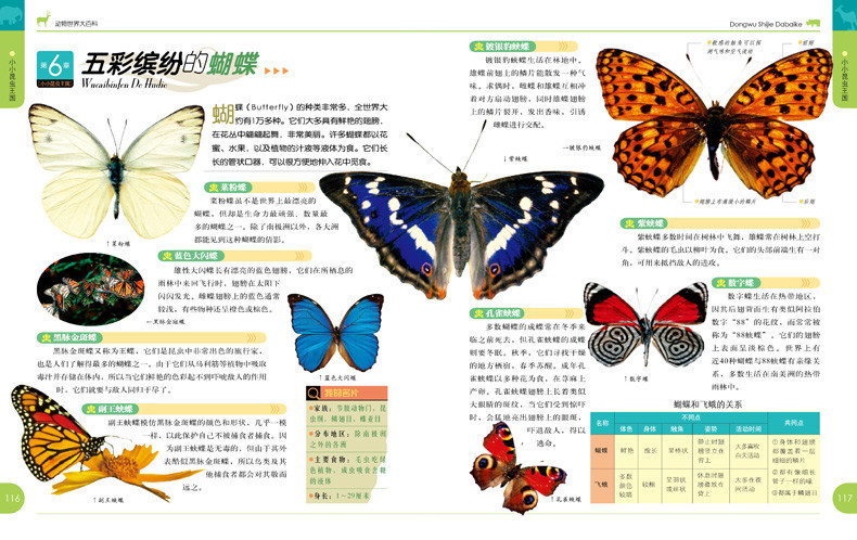 《恐龙王国大百科 动物世界大百科 史前怪兽大