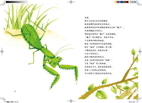 法布尔昆虫记9:骁勇善战的捕食霸王—螳螂,草丛里的跳跃高手—蝗虫