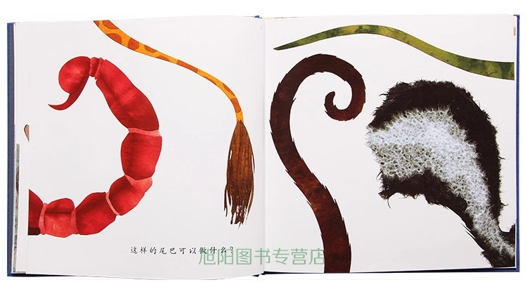 美国凯迪克大奖《这样的尾巴可以做什么》史蒂