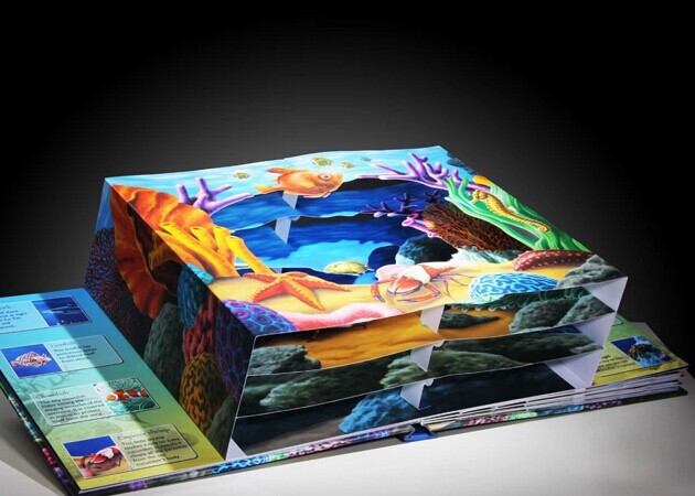 【厚学图书】3D Wild Ocean 英文原版书儿童立