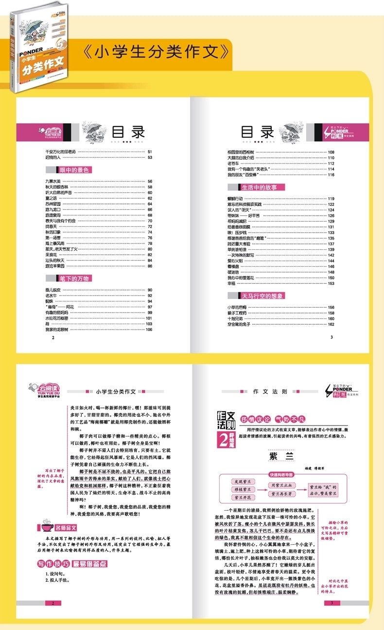 畅想500字素材初中个子高中男孩作文还长吗图片