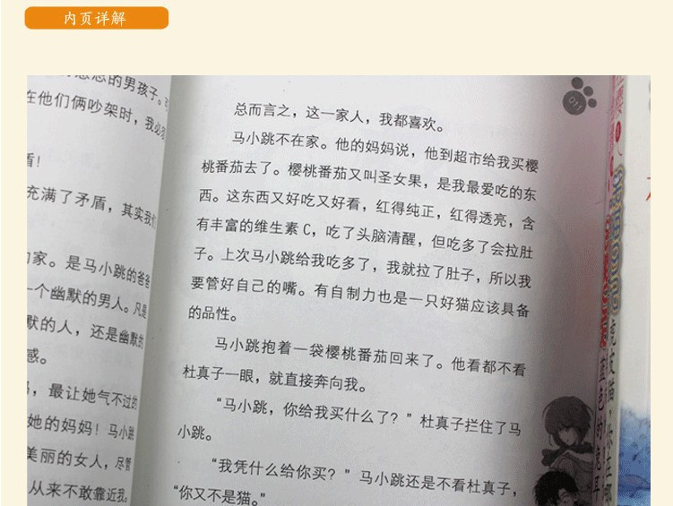 笑猫日记全套20册 杨红樱系列全套 云朵上的学校