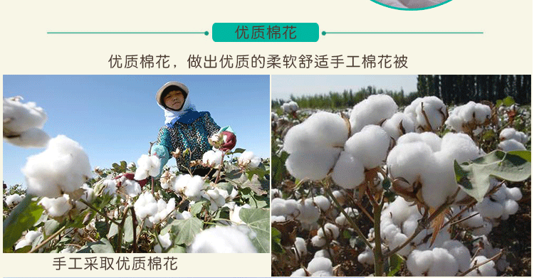 手工棉被定做新疆棉花被子全棉纯棉被芯冬被春秋学生单人被褥床垫