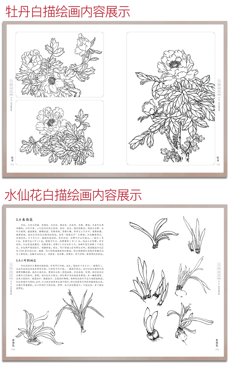 《经典全集系列丛书:白描画谱5000例上篇(花卉蔬果)》