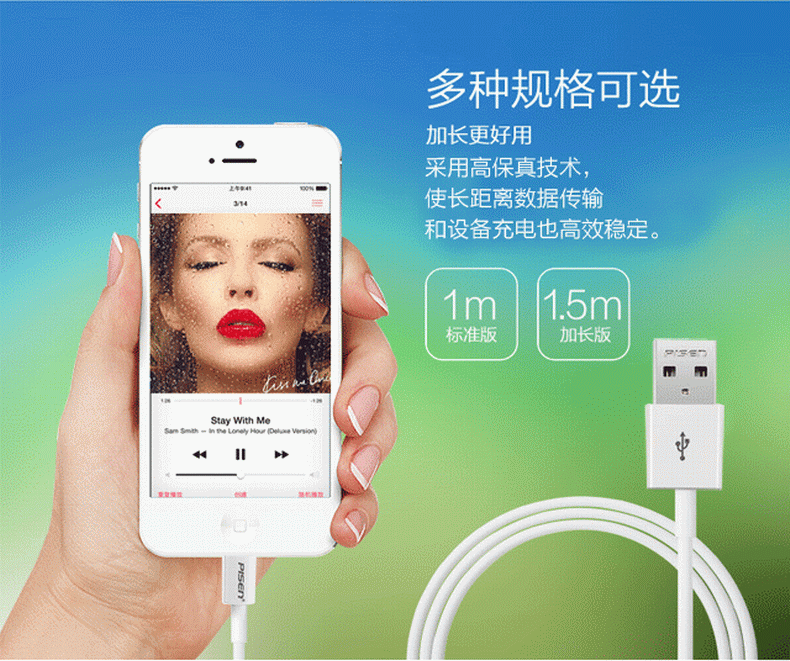 品胜(PISEN) 苹果数据充电线Apple Lightning 1000mm