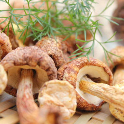 盛耳 特级姬松茸 巴西蘑菇 姬松菌 姬松菇 土特产 200g