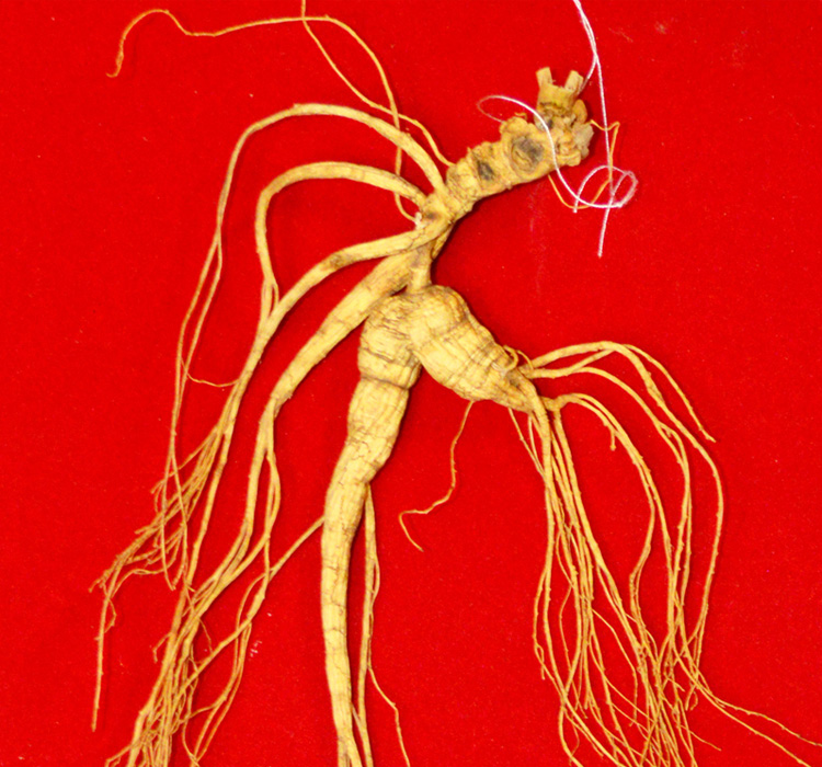 苏宁超市兴隆农场长白山野山参二等参龄18年106g食药品级认证