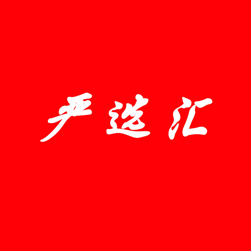 严选汇