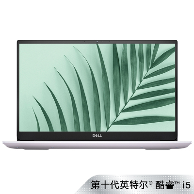 戴尔（DELL） Ins 14-5490-R1605L