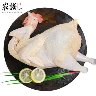 农谣 苏北老母鸡 新鲜现杀土鸡肉 整只装 杀后净重约1100g 果园散养草鸡