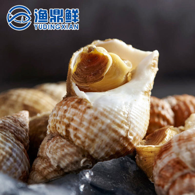 爱尔兰熟冻白螺