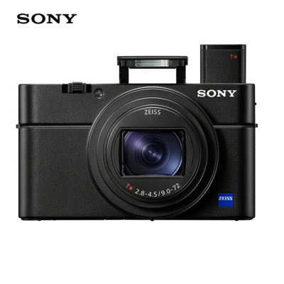 索尼(SONY) 数码相机 DSC-RX100M6 黑色 CN1