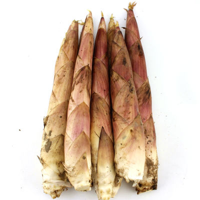 新鲜春笋雷笋竹笋新鲜蔬菜5斤装 新鲜采摘