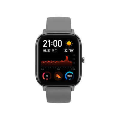 Amazfit GTS 海豚灰