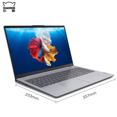 联想(Lenovo)小新15 2020款 15.6英寸全面屏超轻薄笔记本电脑(I5-1035G1 8G 256G）